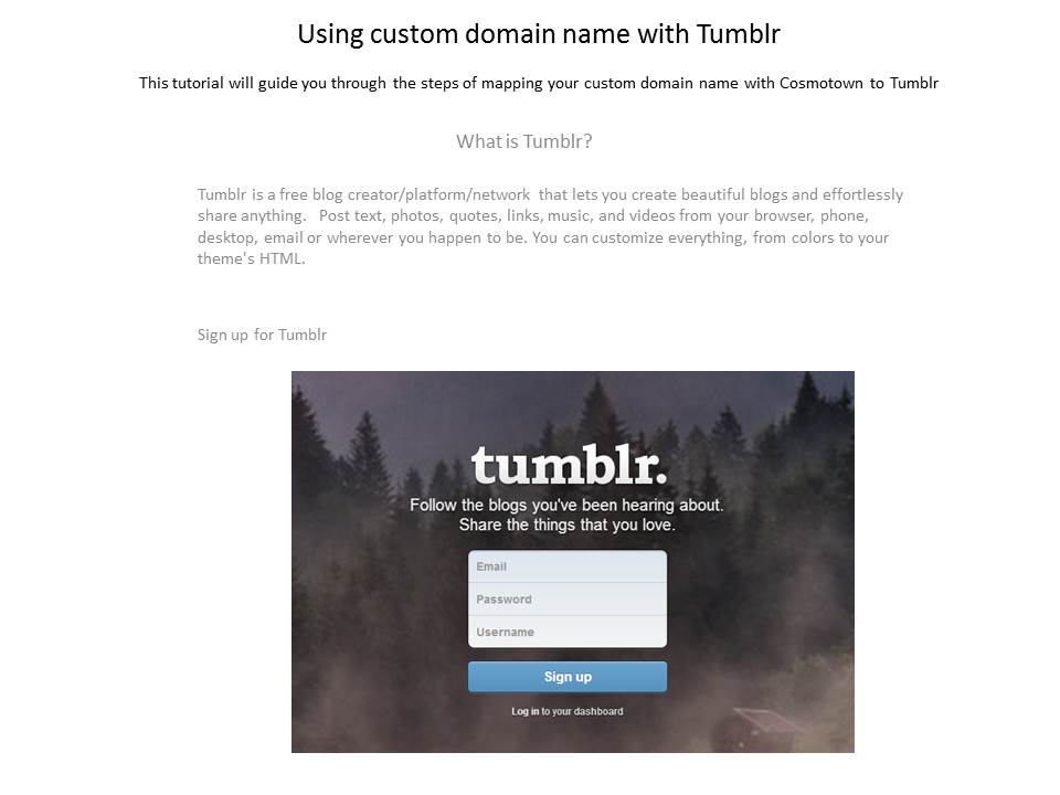 Custom domain name with Tumblr.JPG